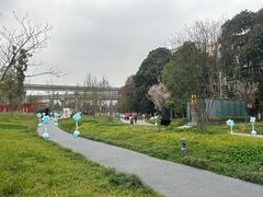 -神仙树公园