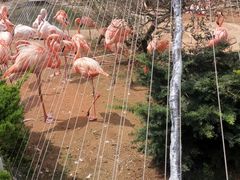 -大连老虎滩海洋公园