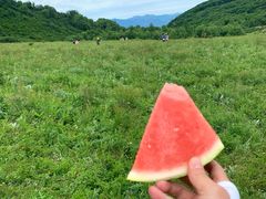 -白草畔自然风景区