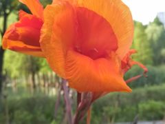 -白塘生态植物园