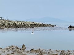-深圳湾公园(南山区)
