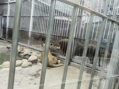 -青岛动物园