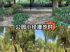 -慈城古县城景区