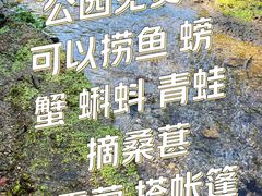 -白水寺森林公园