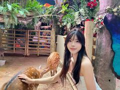 -正佳雨林生态植物园
