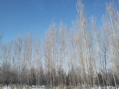 -丝绸之路山地度假区滑雪场