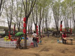 -草根堂农场