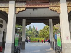 -团结湖公园