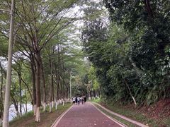 -凤岗南门山森林公园