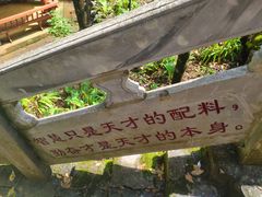 -百色大石围天坑群