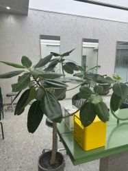 -简影造型·自选烫染接发salon