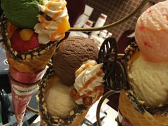 -哈根达斯(石家庄北国店)