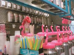 -Flamingo Bloom(TST /尖沙咀店)
