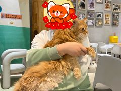 -藏猫猫咖啡主题馆(中央大道店)