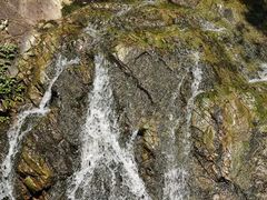 -南海湾森林生态园