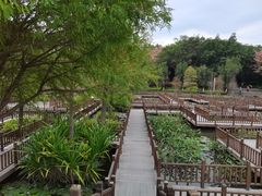 -五缘湾湿地公园