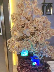 -栖SPA·ONDA ·海菲秀·皑皑科技美肤中心