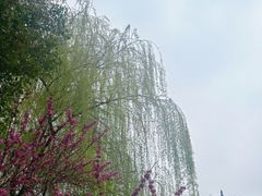 -堤角公园
