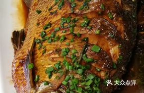 Wild Big Bream