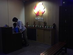 -ventus spa 沙巴亚庇正宗精油按摩会所
