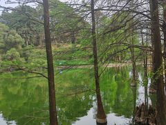 -广州市白云山风景名胜区