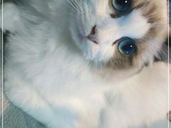 -零纪元VR体验馆·桌游(黄浦店)