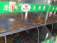 -阳澄湖大闸蟹·琼灵阁牌品牌连锁(吴中总店)