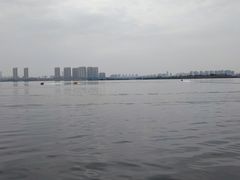 -瑶湖郊野森林公园