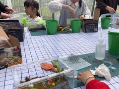 -嘉北郊野公园