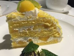 -COVA(上海K11艺术中心店)
