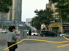 -柴务处·柴犬主题狗咖