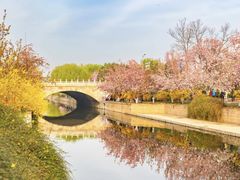 -元大都城垣遗址公园