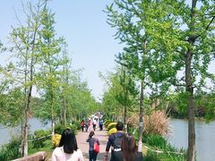 -白鹭湾湿地公园