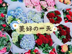 -循礼门鲜花花市(武汉循礼门店)