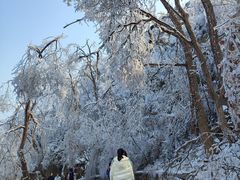 -紫金山山顶公园