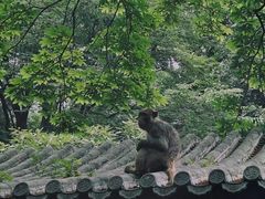 -潭柘寺景区
