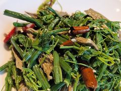 -北平盛世·新京菜·北京烤鸭(劲松·双井店)