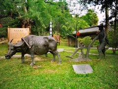 -广州神农草堂中医药博物馆