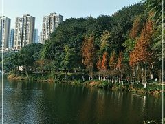-重庆彩云湖湿地公园