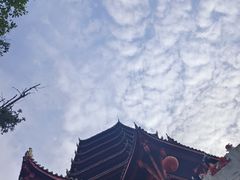 -青城山