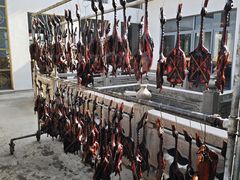 -石家饭店·百年老字号(灵岩山穹灵路店)