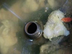 原味汽锅鸡-云海肴·汽锅鸡·云南菜(领展购物广场·中关村店)