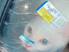 -乐琪宠物医院·犬猫专科·骨外科·急重症