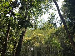 -千泷沟大瀑布旅游区