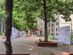 -上海财经大学(国定路校区)