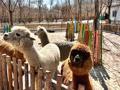 -水上乐园·欢乐世界