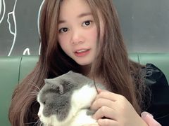 -安格丽娜·狗咖·猫咖羊驼咖(春熙路百盛商场店)