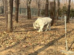 -秦皇岛野生动物园