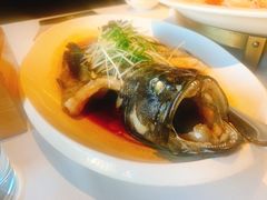 -人杰鱼乐轩(珠江路店)