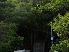 -白水寺森林公园